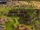 Natural Wonder Mount Roraima closeup (Civ6).png