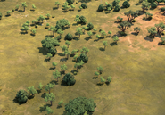 Savanna Woodland in-game