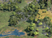 Rainforest in-game