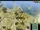 Scrambled Nations Map Pack Screenshot 1 (Civ5).jpg
