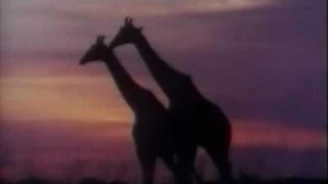 Civilization_II_Wonder_-_Darwin's_Voyage