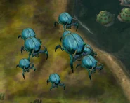 Scarab on Lush Biome