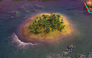 A lone Rainforest tile, as seen in-game