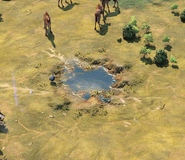 Watering Hole in-game