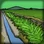 Irrigation