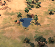 Oasis in-game