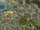 Incan Terrace Farm (Civ5).gif