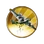 B17轟炸機