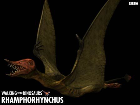 walking with dinosaurs rhamphorhynchus