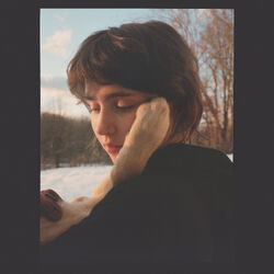 clairo レコードまとめ売りSling Immunity Diary 新品未開封 グリーン盤 Clairo Sling レコード LP