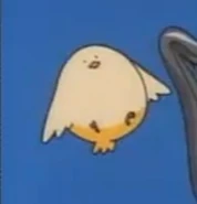 Les oiseaux dans Wish