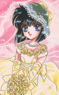 Mensou Ni Onegai Man Of Many Faces Clamp Wiki Fandom
