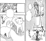 Sakura, Fye, Kakyô et Kogane