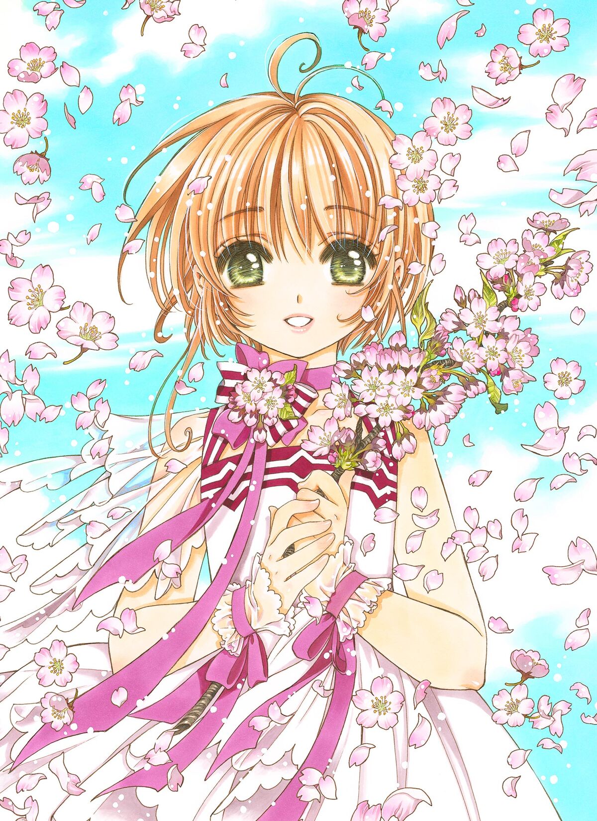 Goomba Reviews: Sakura Card Captors: Clear Card Arc