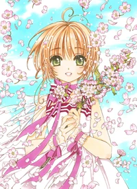 カードキャプターさくら　CARDCAPTOR ラミネートカード　NO.014 カードキャプターさくら CARDCAPTOR ラミネートカード NO.014 【公式通販】