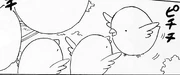 Oiseaux dans Kobato