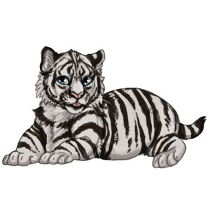 White Tiger Cub | Clanheart Wiki | Fandom White Tiger Cub | Clanheart Wiki | Fandom