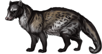 Item civet