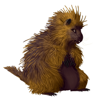 Item porcupine