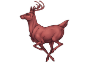 Deer Adult