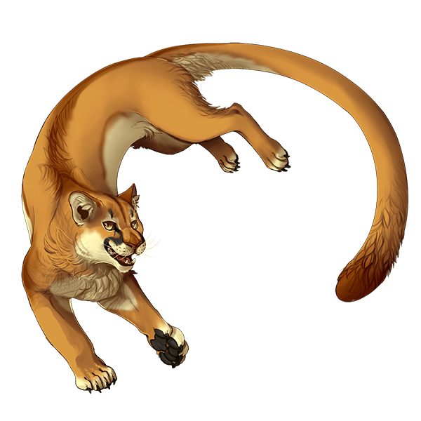 Puma se cheap wiki