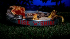 Rise and Shine - intro