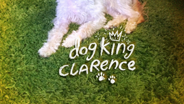 Carta - Dog King Clarence