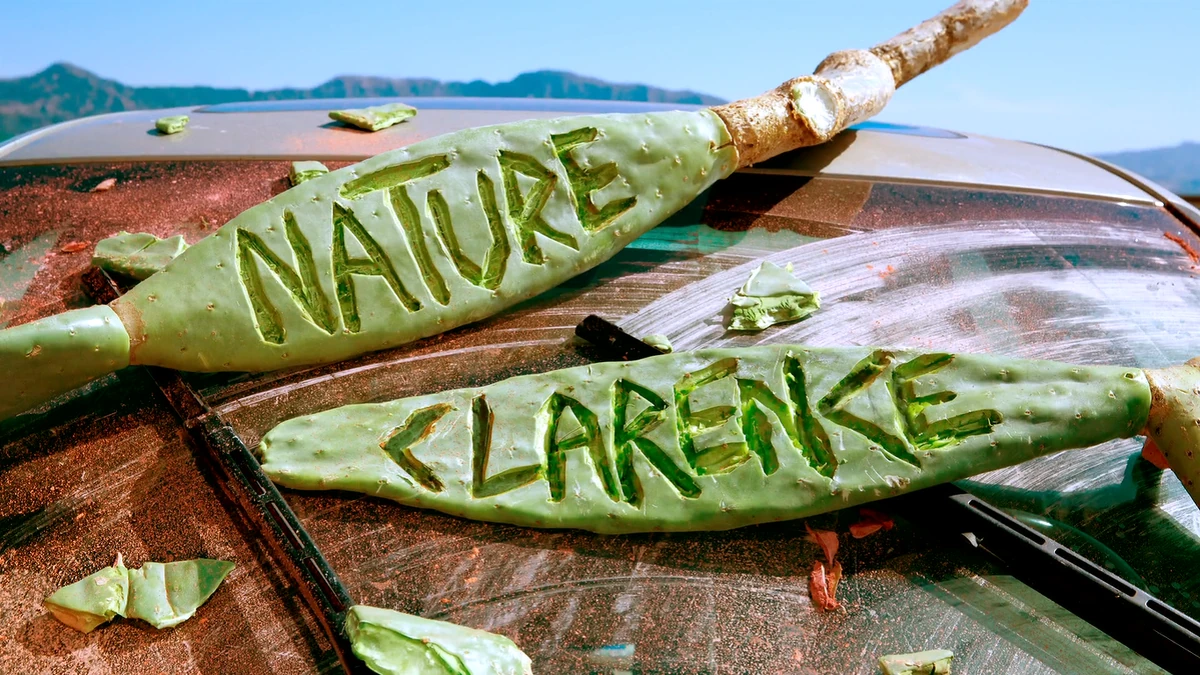 Clarence de la selva Wiki Clarence Fandom