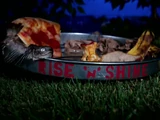 Rise 'n' Shine