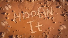 Hoofin' It