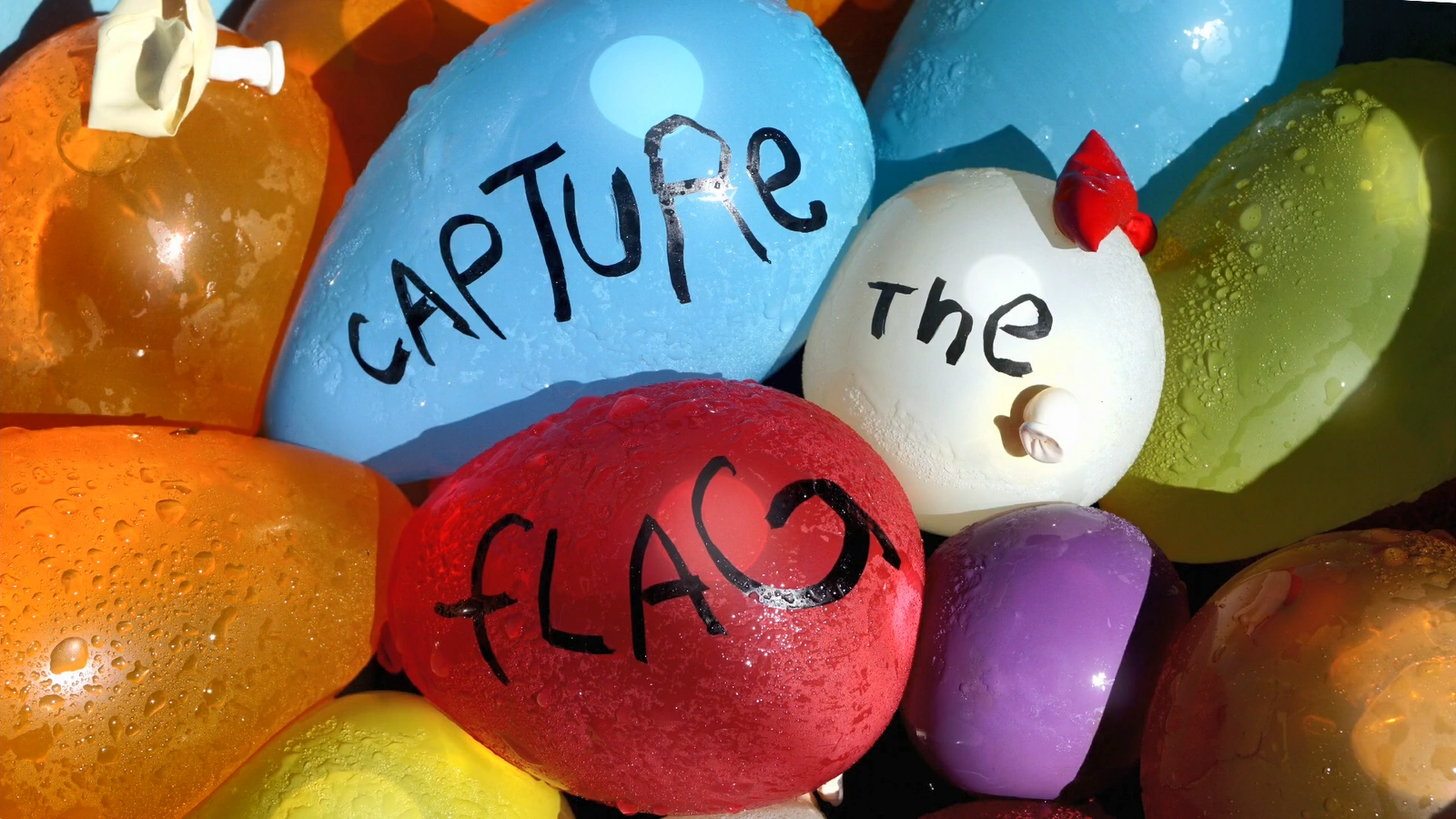 capture the flag dog toy