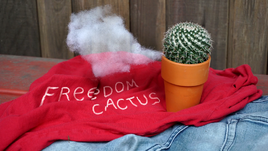 Freedom Cactus Title Card