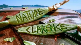 Nature Clarence Card