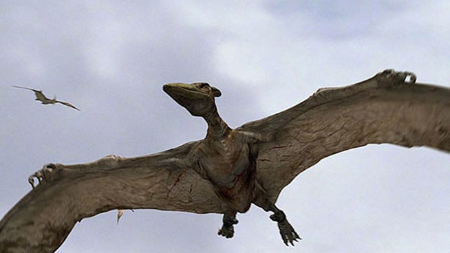 Pterodactyloidea - Wikipedia