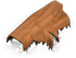 Trunk1 Fallen Normal.png