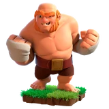 Boxer Giant info