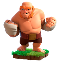 Boxer Giant info