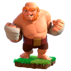 Boxer Giant info