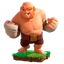 Boxer Giant