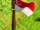 Singapore.jpeg