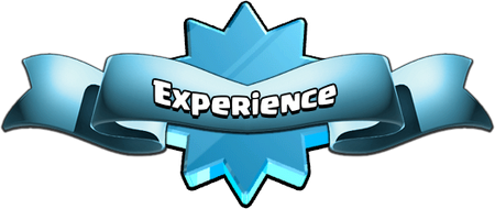 Experience Main Banner