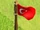 Turkey.jpeg