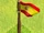 Spanish flag.jpeg