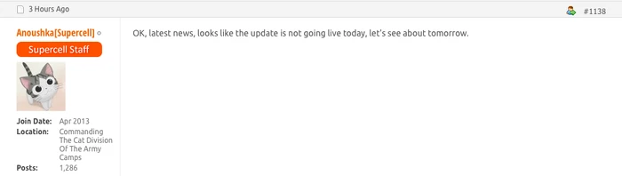 Anoushka Update morgen