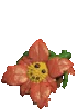 Friendly Flower.gif