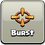 Icon Burst.png