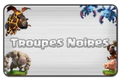 Boutons-troupesnoiresVP