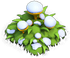 Mushroom Winter.png