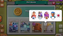 Pets-2