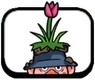 Flower Miner
